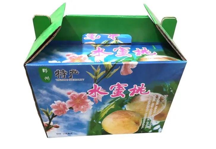 西安紙(zhǐ)箱案例(lì)展示